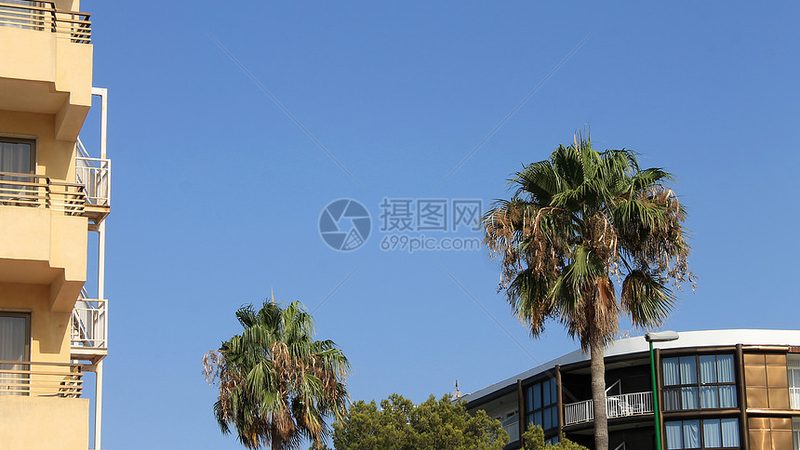 会议旅游行程安排：从策划到执行的关键步骤